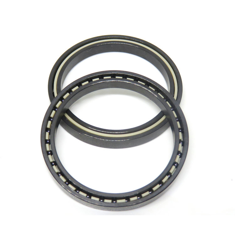 Full Ceramic Bearings